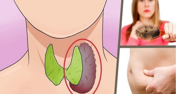 علامات خمول الغدة الدرقية وطرق علاجها