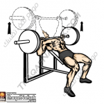 تمارين زيادة كتلة العضلات بالصور