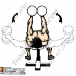 تمارين زيادة كتلة العضلات بالصور