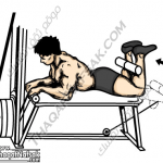 تمارين زيادة كتلة العضلات بالصور