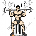 تمارين زيادة كتلة العضلات بالصور