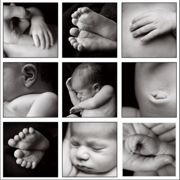 تريدين الإنجاب إليك أطعمة تساعد على الحمل وتزيد من فرص حملك تريدين الإنجاب إليك أطعمة تساعد على الحمل وتزيد من فرص حملك