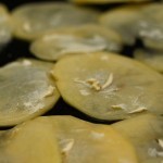 حضري البطاطس في الفرن وصفة الشيبسي المقرمش الصحي