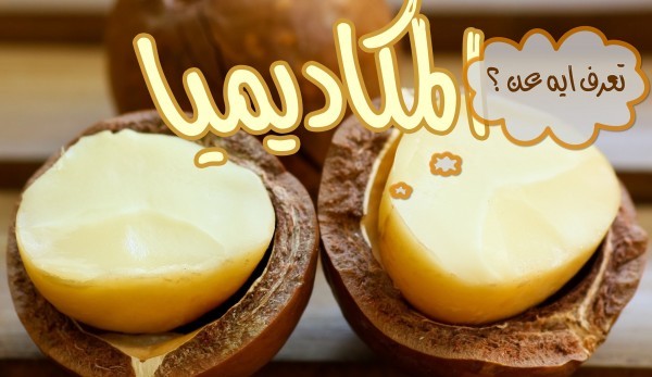 مكسرات المكاديميا ماذا تعرف عن فوائد المكاديميا ؟