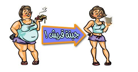 رجيم الجبنة القريش نظام غذائي كامل لإنقاص الوزن