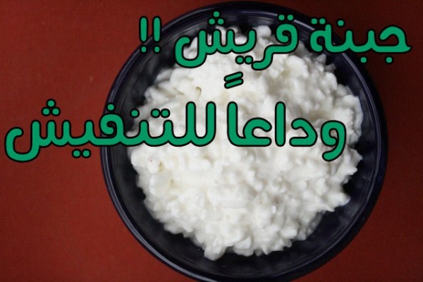 رجيم الجبنة القريش نظام غذائي كامل لإنقاص الوزن رجيم الجبنة القريش نظام غذائي كامل لإنقاص الوزن