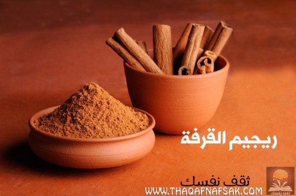 رجيم القرفة لدعم التمثيل الغذائي وحرق الدهون وفقدان الوزن رجيم القرفة لدعم التمثيل الغذائي وحرق الدهون وفقدان الوزن