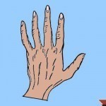 بالصور ماذا تقول يدك عن شخصيتك ؟