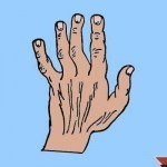 بالصور ماذا تقول يدك عن شخصيتك ؟