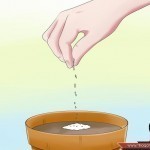 كيف تستخدم قشر البيض في تسميد التربة