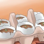 كيف تستخدم قشر البيض في تسميد التربة