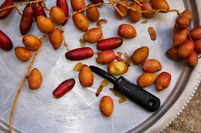 عمل مربي البلح بالقرنفل بالصور عمل مربي البلح بالقرنفل بالصور