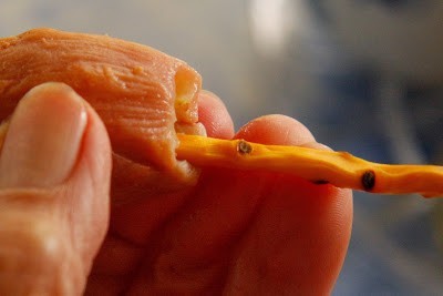عمل مربي البلح بالقرنفل بالصور عمل مربي البلح بالقرنفل بالصور