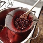 طريقة عمل عصير العنب بالصور