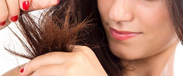 خلطات طبيعية لعلاج تقصف نهايات الشعر خلطات مجربة خلطات طبيعية لعلاج تقصف نهايات الشعر خلطات مجربة