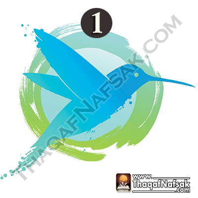إختر الطائر الطنان الذي يروق لك وتعرف ماذا يقول عنك ؟ إختر الطائر الطنان الذي يروق لك وتعرف ماذا يقول عنك ؟