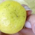 منظف كريمي للبشرة العادية و الجافة اصنعيه بنفسك منظف كريمي للبشرة العادية و الجافة اصنعيه بنفسك