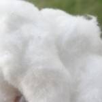 منظف كريمي للبشرة العادية و الجافة اصنعيه بنفسك منظف كريمي للبشرة العادية و الجافة اصنعيه بنفسك