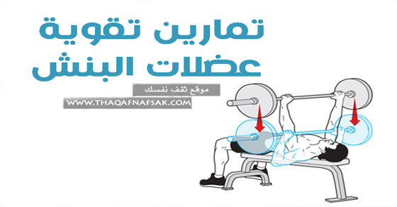 تمارين تقوية عضلات البنش بالصور