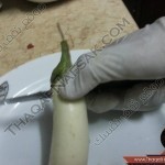 بالصور محشي الباذنجان ومحشي الفلفل الأخضر لكل مبتدأ في المطبخ