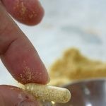 طريقة عمل حبوب الردة في المنزل للتنحيف بالصور وفوائدها