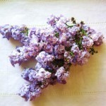 طريقة عمل عسل بطعم ورائحة زهرة الليلك “الليلاس”