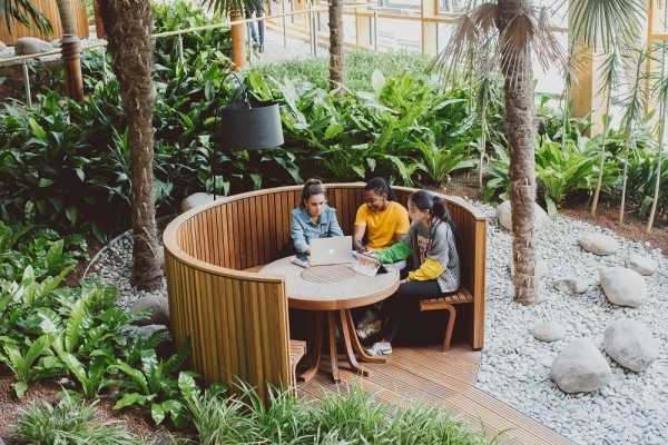 تعليم مميز يُقدمه لك المحامون بأنفسهم عندما تدرس الحقوق في جامعة إِسيكس