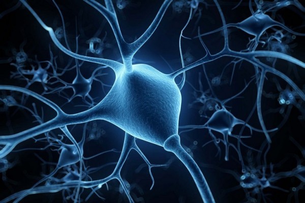 افهم عقلك! كيف تتعلّم أي شيء بسهولة؟ افهم عقلك! كيف تتعلّم أي شيء بسهولة؟