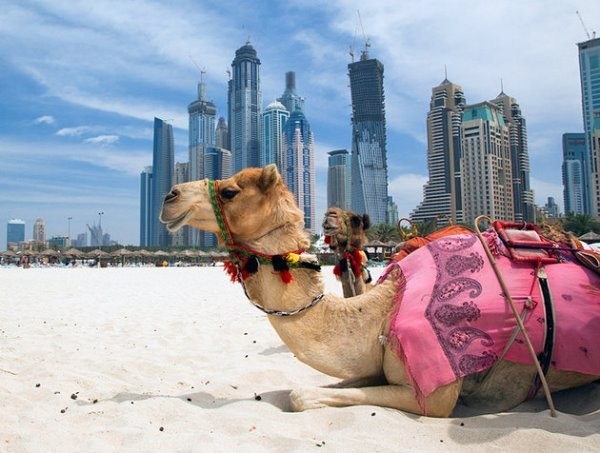 أشهر المعالم السياحية والأنشطة الطلابية في دولة الإمارات أشهر المعالم السياحية والأنشطة الطلابية في دولة الإمارات