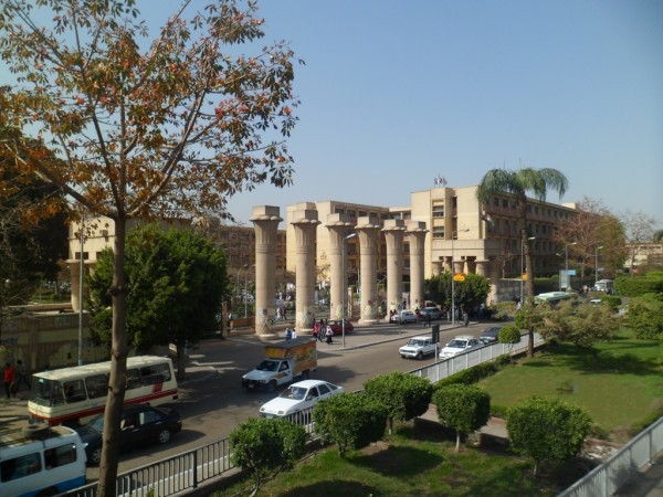 أفضل الجامعات في مصر للطلبة الدوليين