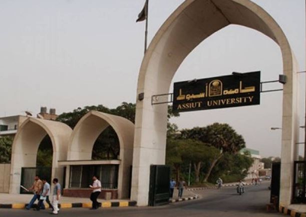 أفضل الجامعات في مصر للطلبة الدوليين أفضل الجامعات في مصر للطلبة الدوليين