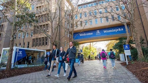 أفضل جامعات الطب البشري في أستراليا أفضل جامعات الطب البشري في أستراليا