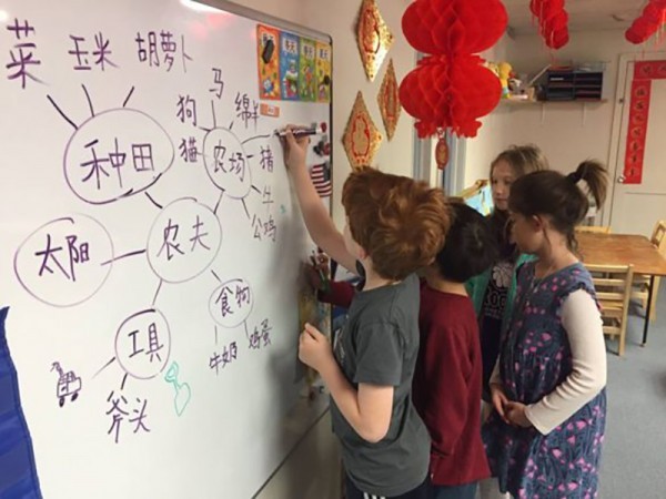 تجربتي في تعلم اللغة الصينية وإتقانها