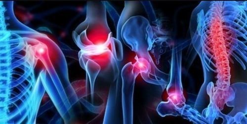 الطب البشري واختصاصاته الطب البشري واختصاصاته