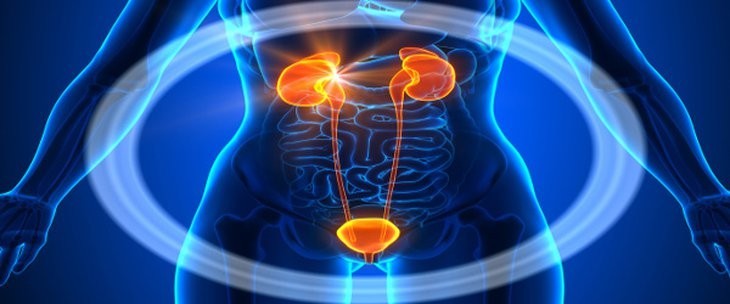 الطب البشري واختصاصاته الطب البشري واختصاصاته