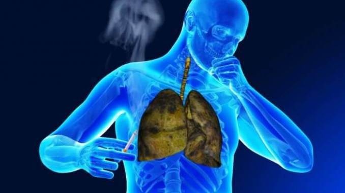الطب البشري واختصاصاته الطب البشري واختصاصاته