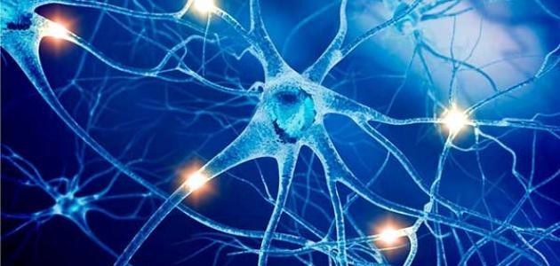 الطب البشري واختصاصاته الطب البشري واختصاصاته