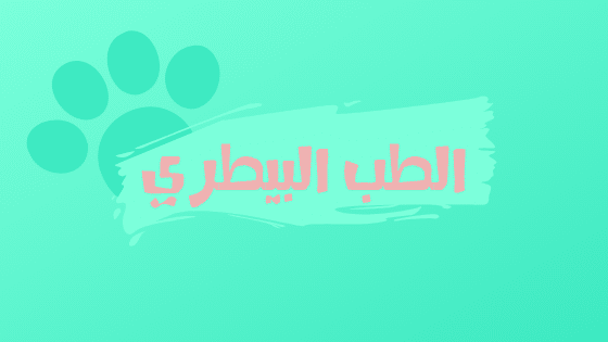 الطب البيطري