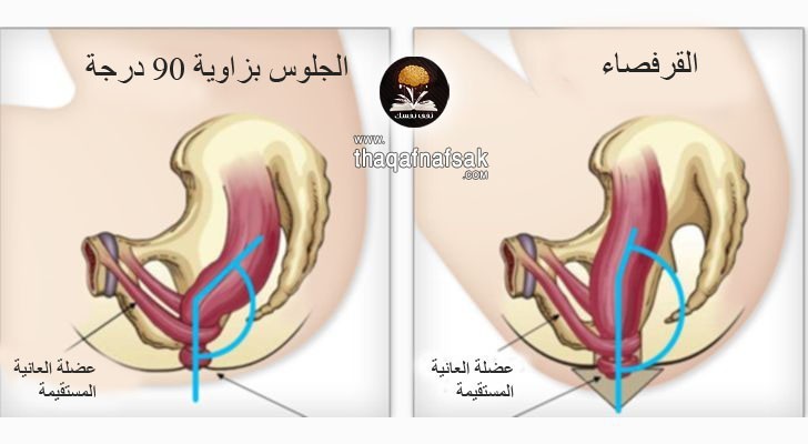 مشاكل وضعية قضاء الحاجة التقليدية وماهي الوضعية الصحية مشاكل وضعية قضاء الحاجة التقليدية وماهي الوضعية الصحية