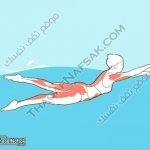 كيف تصبح أطول في إسبوع ؟ كيف تصبح أطول في إسبوع ؟