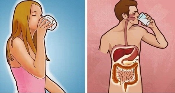 هذه العادات لا يجب أن تفعلها علي معدة فارغة هذه العادات لا يجب أن تفعلها علي معدة فارغة