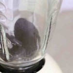 ٣ طرق لذيذة لتحضير ميلك شيك الأوريو