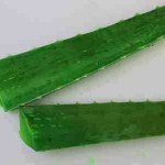 حضري ماسك الصبار من أوراق الصبار لشعرك و بشرتك