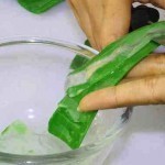 حضري ماسك الصبار من أوراق الصبار لشعرك و بشرتك