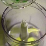 حضري ماسك الصبار من أوراق الصبار لشعرك و بشرتك