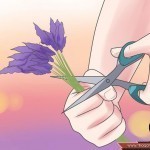 طريقة عمل زيت الخزامي في البيت وعمل بلسم أو كريم منه