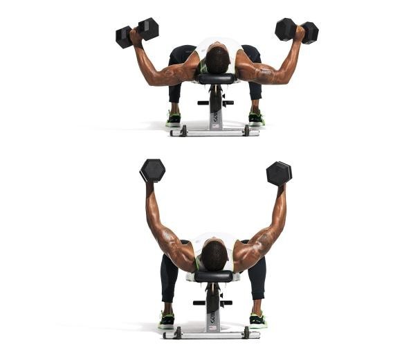 تمارين تضخيم عضلات الصدر بالصور