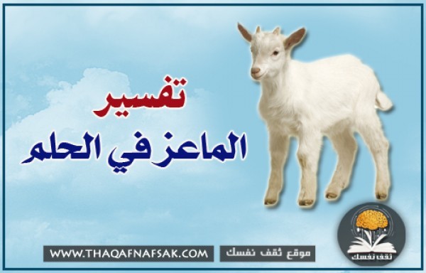 تفسير الماعز في الحلم تفسير الماعز في الحلم
