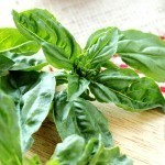 شوي الذرة مع الريحان و الجبن الأيطالي وصفة لذيذة