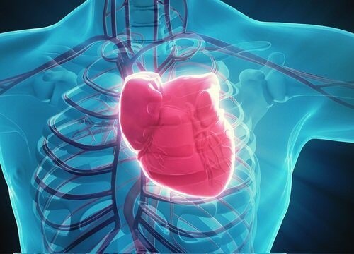 اسباب الشعور بوخز في القلب اسباب الشعور بوخز في القلب